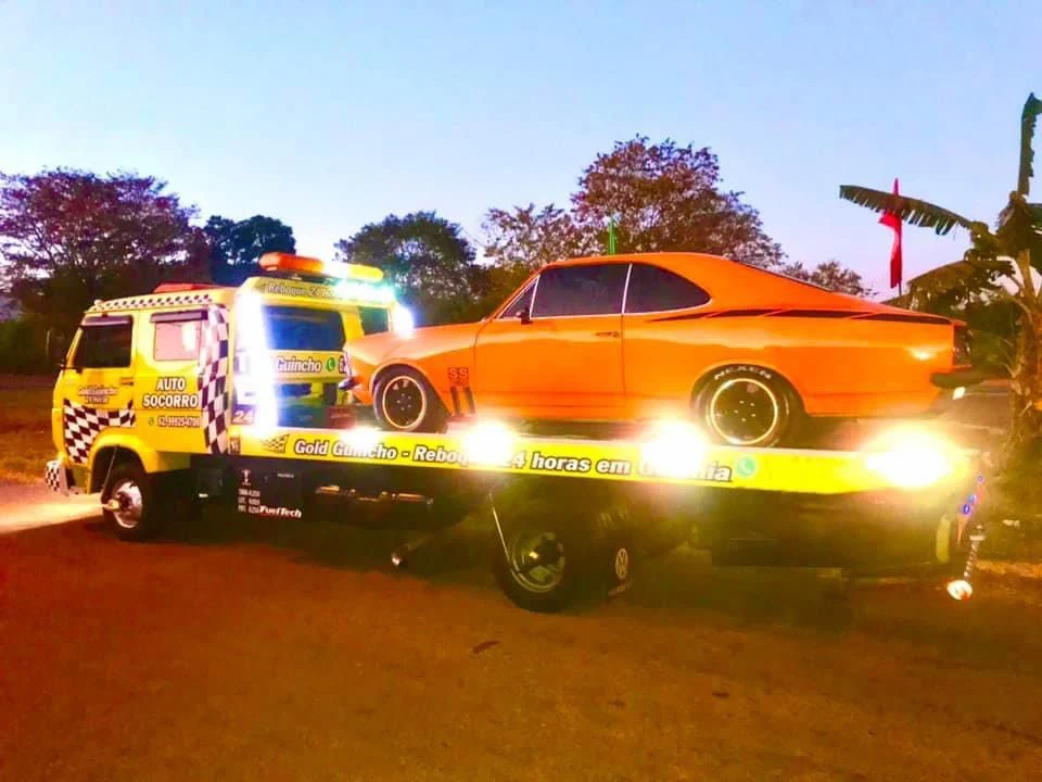 Gold Guincho - Transporte seguro