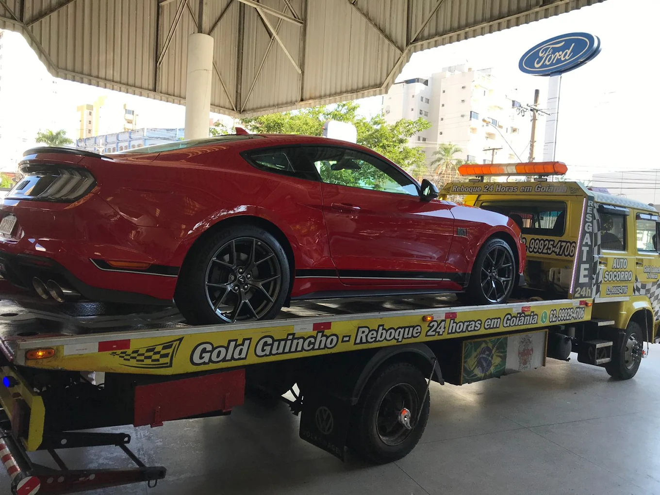 Gold Guincho - Frota moderna